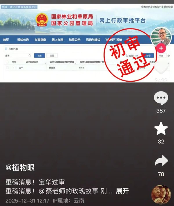 配资在线炒股 用网友二舅命名的“宝华”月季, 初审通过!